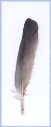 feather